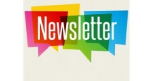 Newsletter logo icon